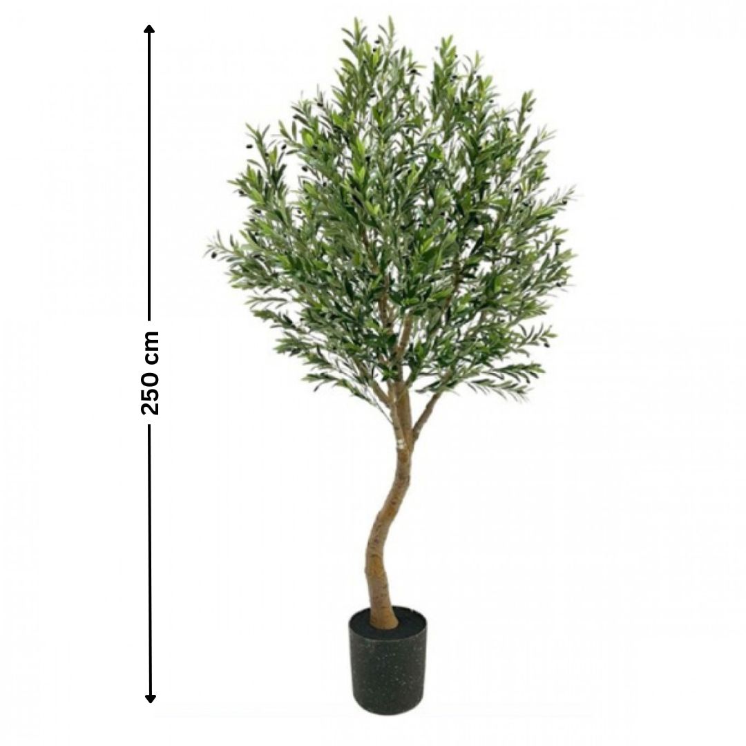 250cm Τεχνητό Διακοσμητικό Φυτό Ελιά σε Γλάστρα 250cm Τεχνητό Διακοσμητικό Φυτό Ελιά σε Γλάστρα