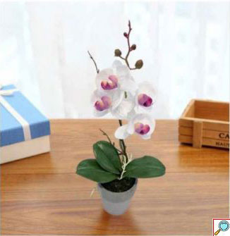 47cm Τεχνητή Διακοσμητική Λευκή Ορχιδέα σε Γλάστρα 47cm Τεχνητή Διακοσμητική Λευκή Ορχιδέα σε Γλάστρα