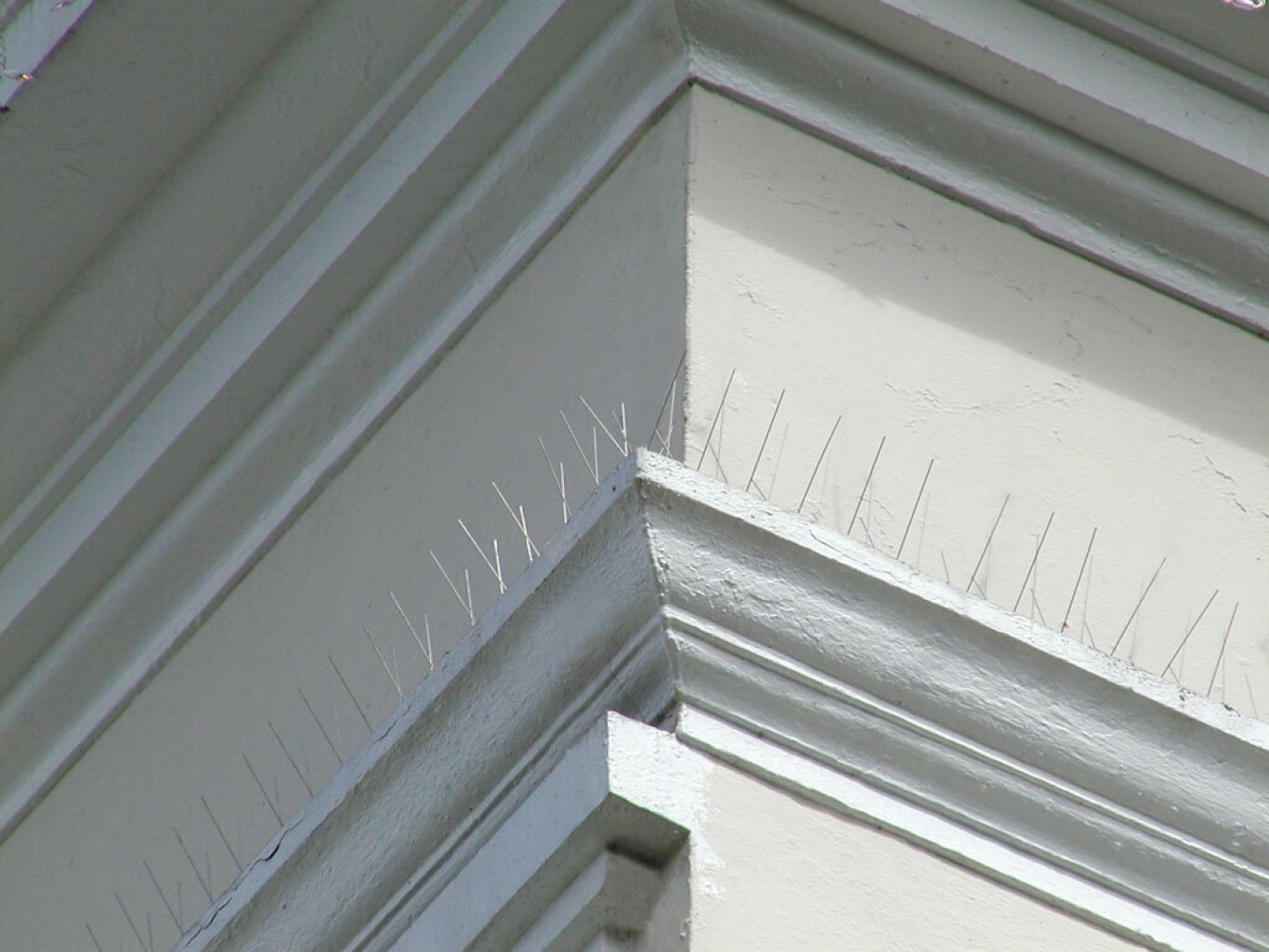 Ακίδες Απώθησης Πουλιών 50cm με Πλαστική Βάση Ακίδες Απώθησης Πουλιών 50cm με Πλαστική Βάση