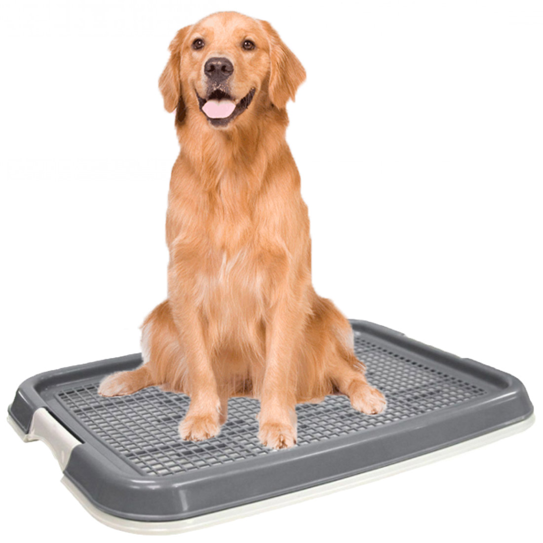 Φορητή Τουαλέτα για Κατοικίδια - Nunbell Puppy Trainer 47x34x4.5 cm