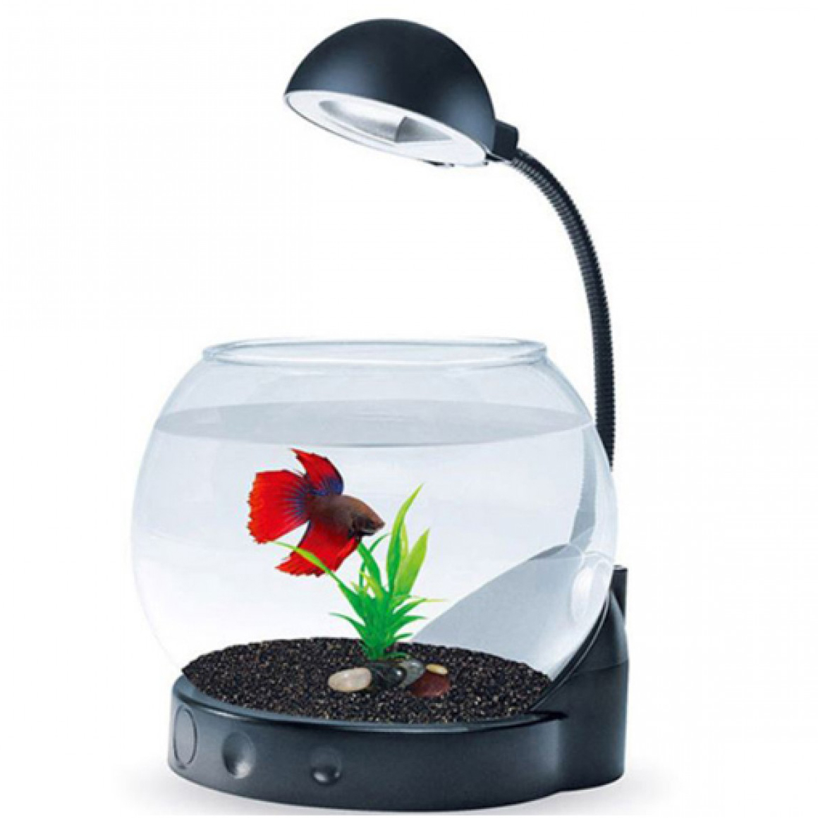 Διακοσμητική Γυάλα Ψαριών - Mini Ενυδρείο με Φωτισμό 2 LED - Jeneca 2L Μαύρο
