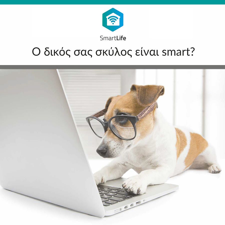 Το ΕΣΥ των Βυζαντινών…