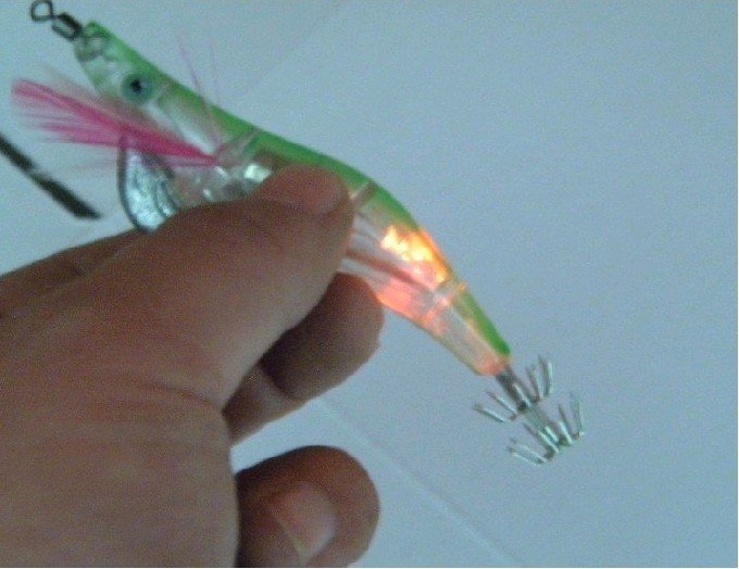 Καλαμαριέρα σε Σχήμα Μεγάλης Γαρίδας με Led Sheng OEM