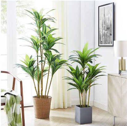 210cm Τεχνητό Διακοσμητικό Φυτό Δράκαινα σε Γλάστρα 210cm Τεχνητό Διακοσμητικό Φυτό Δράκαινα σε Γλάστρα