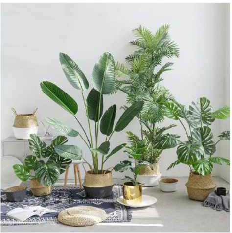 180cm Τεχνητό Διακοσμητικό Φυτό Πουλί του Παραδείσου σε Γλάστρα - Bird of Paradise 180cm Τεχνητό Διακοσμητικό Φυτό Πουλί του Παραδείσου σε Γλάστρα - Bird of Paradise