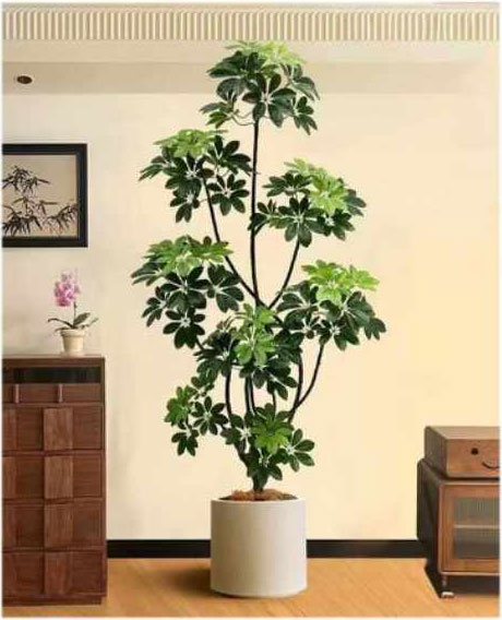 170cm Τεχνητό Διακοσμητικό Φυτό Σεφλέρα σε Γλάστρα 170cm Τεχνητό Διακοσμητικό Φυτό Σεφλέρα σε Γλάστρα