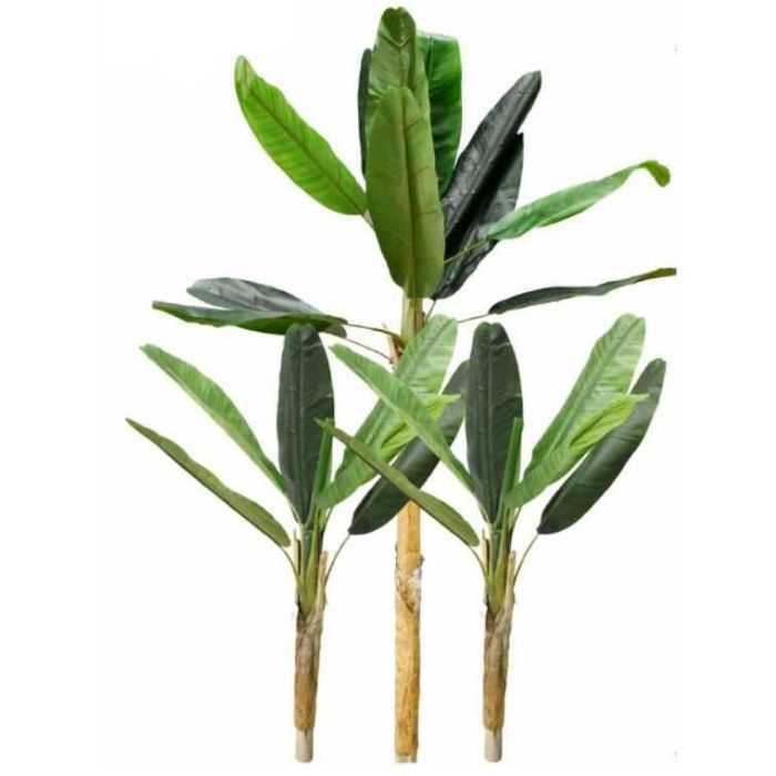 190cm Τεχνητό Διακοσμητικό Δέντρο Μπανανιάς με 3 Κορμούς σε Γλάστρα 190cm Τεχνητό Διακοσμητικό Δέντρο Μπανανιάς με 3 Κορμούς σε Γλάστρα