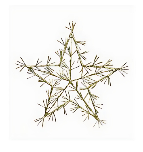 Χριστουγεννιάτικο Διακοσμητικό Αστέρι με 205 LED 60cm Χριστουγεννιάτικο Διακοσμητικό Αστέρι με 205 LED 60cm