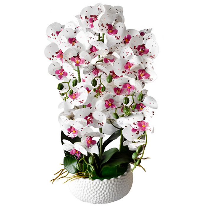 Τεχνητή Ορχιδέα 70cm με Γλάστρα – Κομψό Διακοσμητικό για Σαλόνι Τεχνητή Ορχιδέα 70cm με Γλάστρα – Κομψό Διακοσμητικό για Σαλόνι