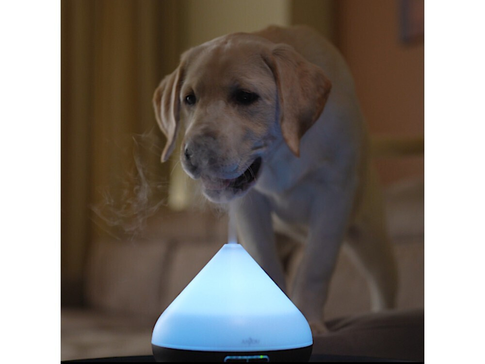 LED Συσκευή Αρωματοθεραπείας με Χρονοδιακόπτη Anjou LED Συσκευή Αρωματοθεραπείας με Χρονοδιακόπτη Anjou