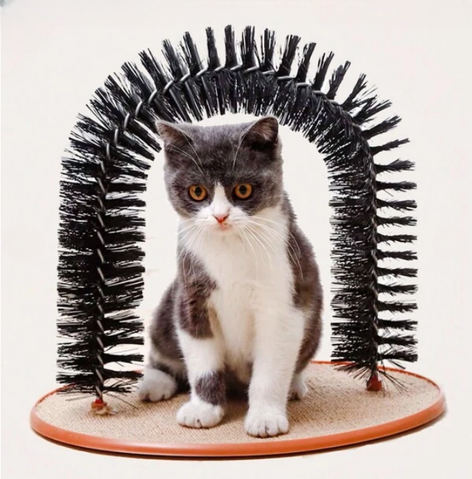 Παιχνίδι - Βούρτσα Γάτας για Καλλωπισμό & Μασάζ - Purrfect Arch Παιχνίδι - Βούρτσα Γάτας για Καλλωπισμό & Μασάζ - Purrfect Arch