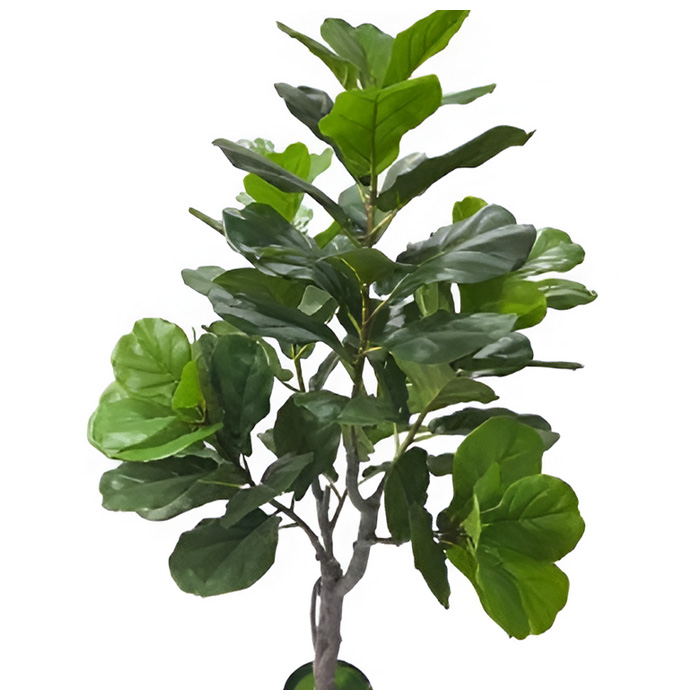 Τεχνητό Διακοσμητικό Φυτό Φίκος Λυράτα 155cm Πυκνό Home Theory Τεχνητό Διακοσμητικό Φυτό Φίκος Λυράτα 155cm Πυκνό Home Theory